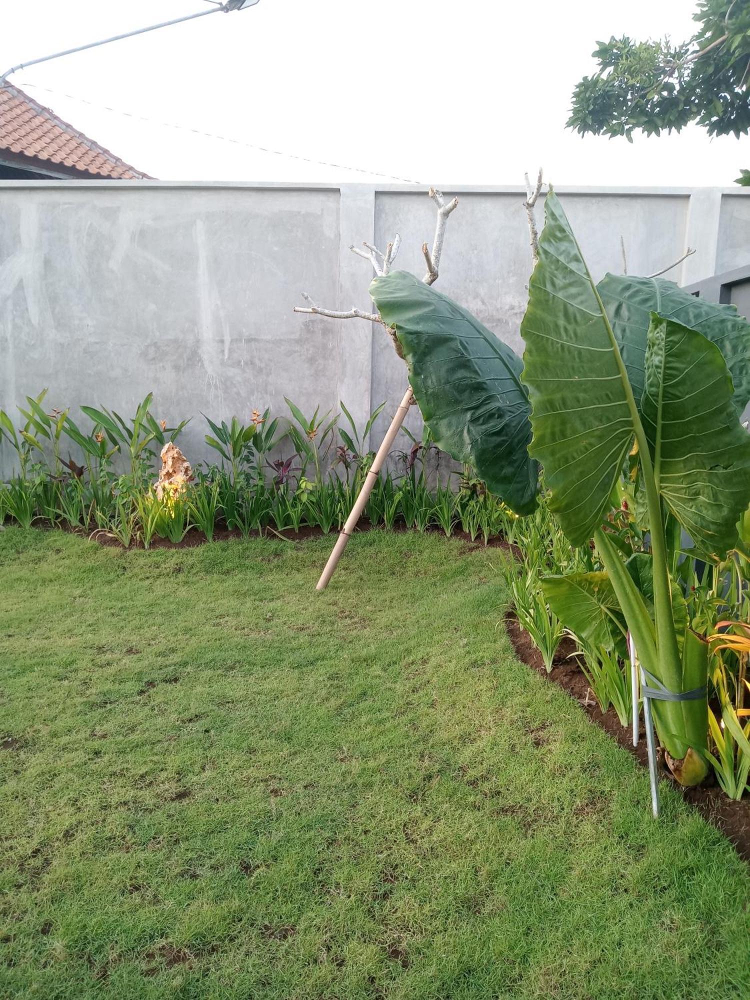 Parama Balangan Homestay *