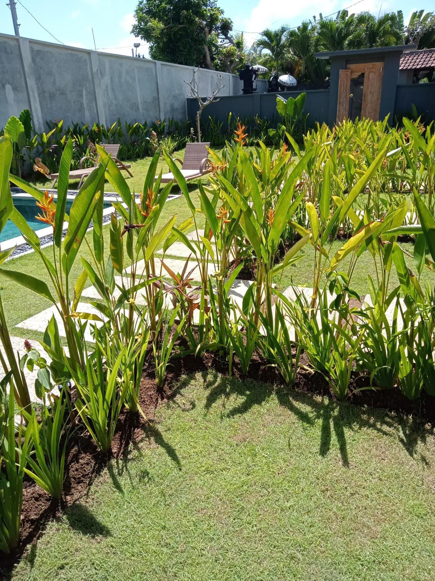 Parama Balangan *