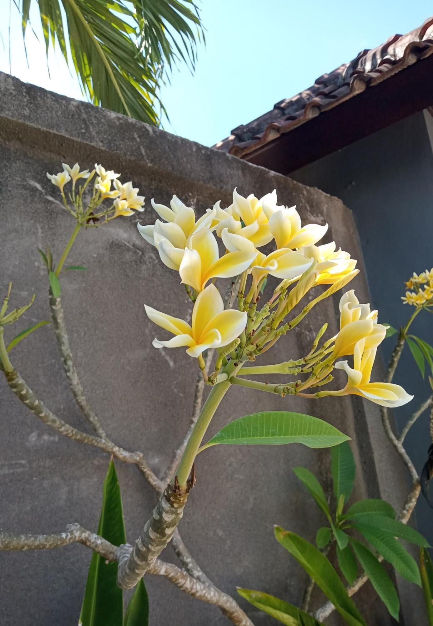 Homestay Parama Balangan